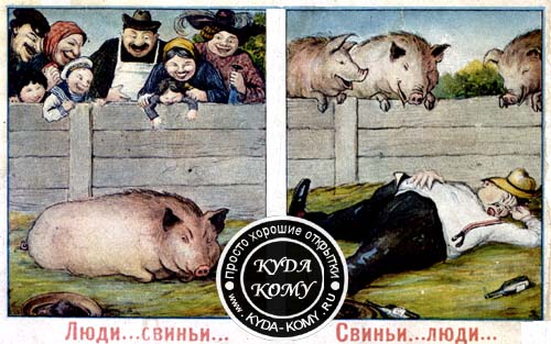 Люди и свиньи
